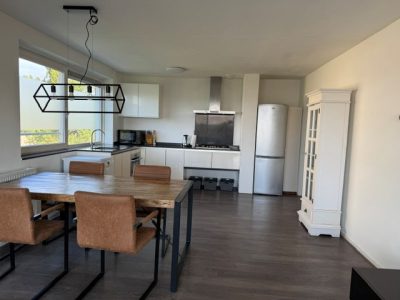 apartments for rent on Rosa Spierlaan 274